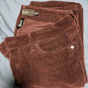 Calvin Klein Jeans Purple Corduroy 8x32